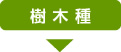 樹木種