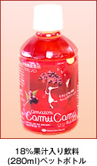 18%果汁入り飲料(280ml)ペットボトル