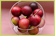 カムカムの無料モニタ募集!