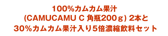 CAMUCAMU C 角瓶を 2本と30%カムカム果汁入り5倍濃縮飲料セット