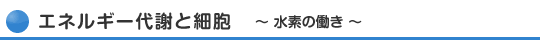 エネルギー代謝と細胞 水素の働き
