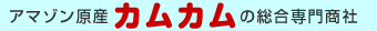A}]YJJ̑古