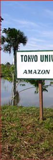 AMAZON FARM
