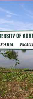 AMAZON FARM